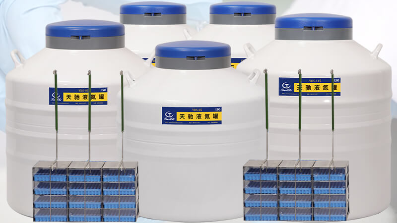 能放凍存盒的貯存型液氮（dàn）罐口徑多大（dà）