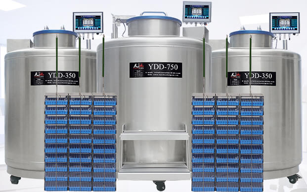 廣口液氮（dàn）罐（guàn）ydd儲存幹細胞（bāo）的方式