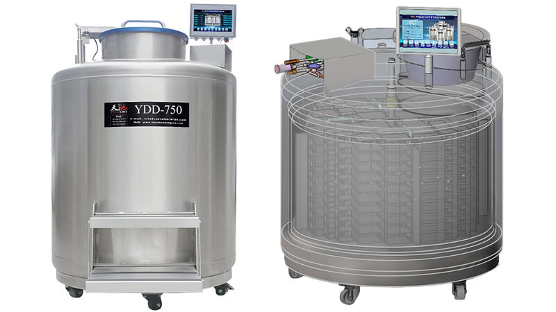 氣相液氮（dàn）生物容器是怎麽分區的（de）