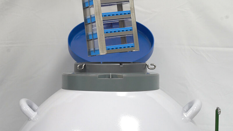 細菌可以凍在實(shí)驗室液氮罐裏嗎