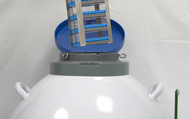 細菌(jun1)可以凍(dòng)在實驗(yàn)室液氮罐裏嗎?