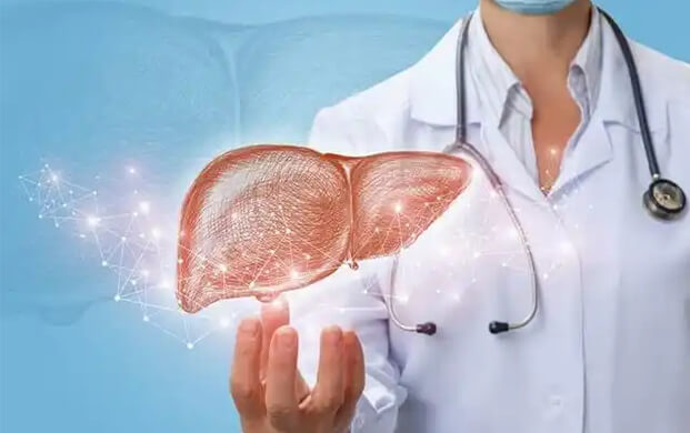 日本培育代謝活(huó)性肝細胞類器官,液氮冷凍技術突破存儲瓶頸